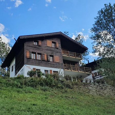 Chalet Carpe Diem Fieschertal Esterno foto