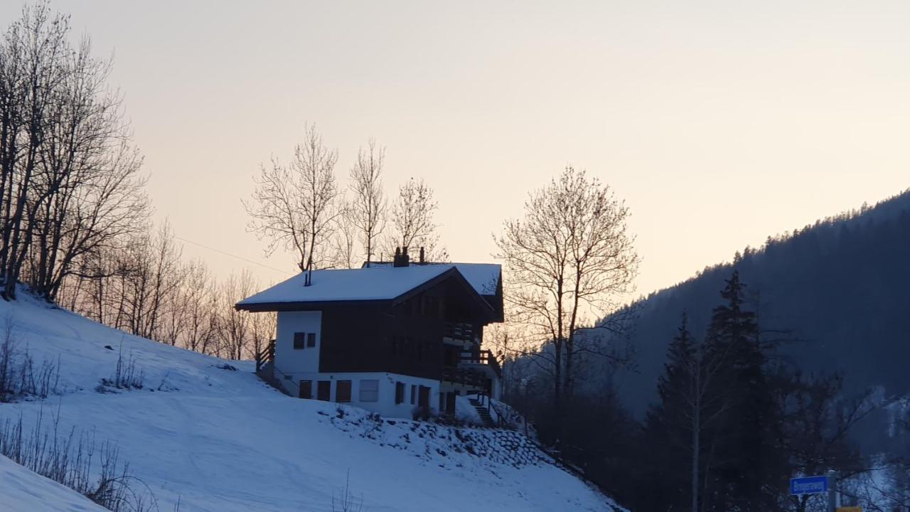 Chalet Carpe Diem Fieschertal Esterno foto