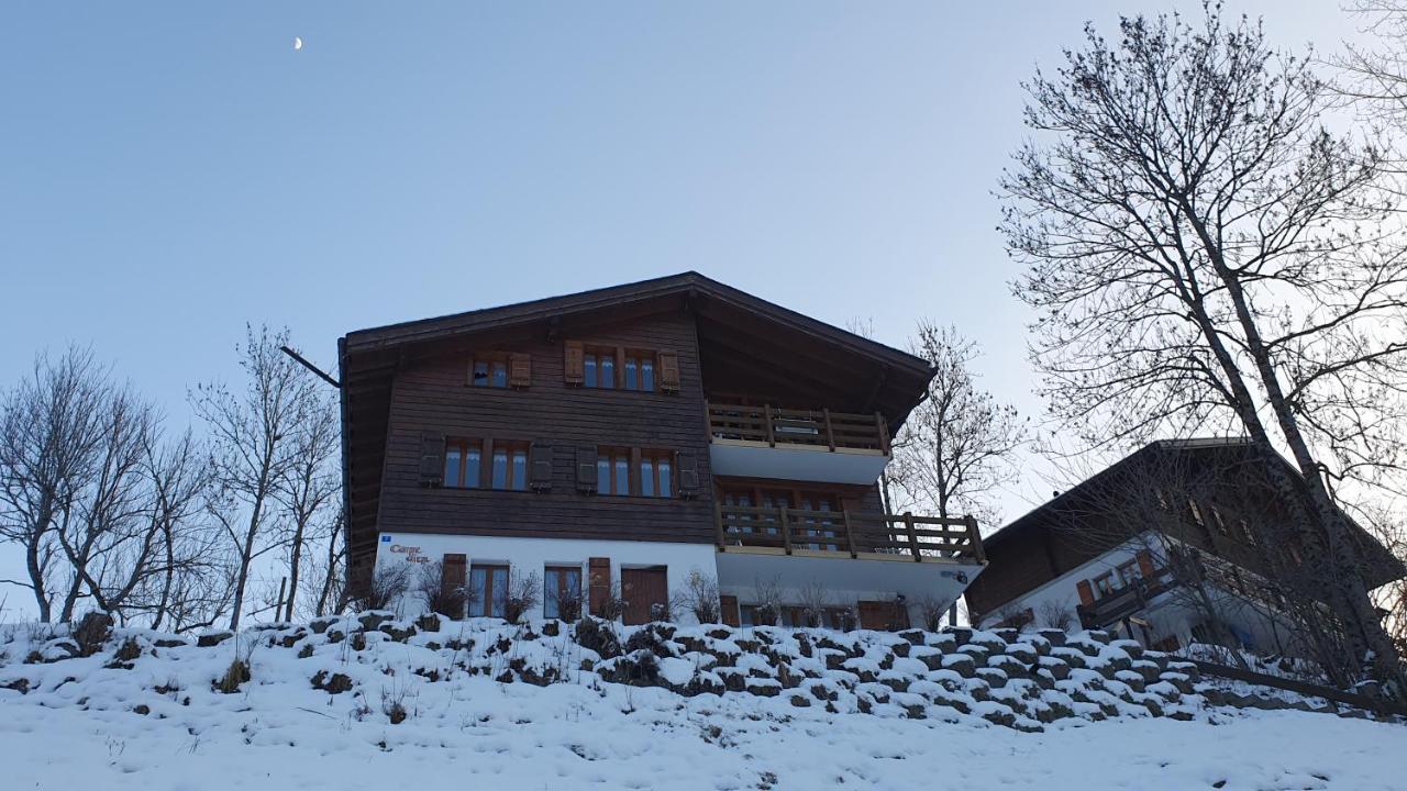 Chalet Carpe Diem Fieschertal Esterno foto